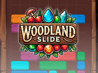 Woodland Slide